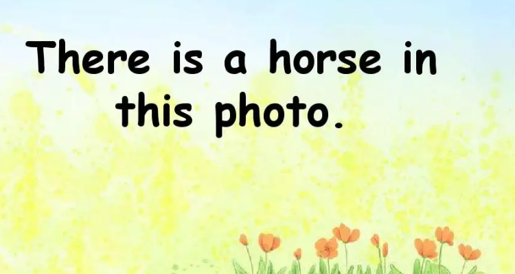 there is是什么意思啊