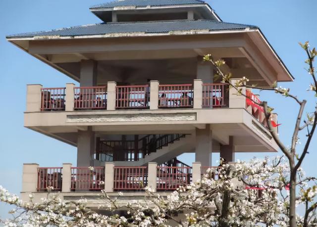 亳州望花台遗址:消失的王室御花园
