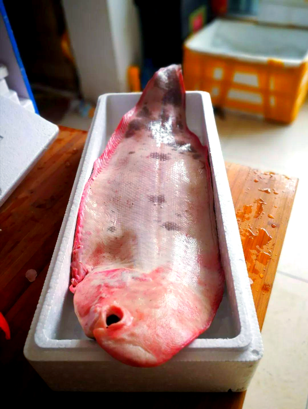 中秋佳节鳎米鱼,传统风味与现代营养的完美结合