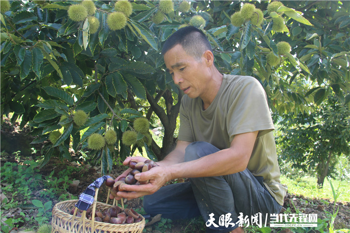 "七一"重要讲话精神」望谟县平洞街道洛郎村:以产业兴旺带动乡村