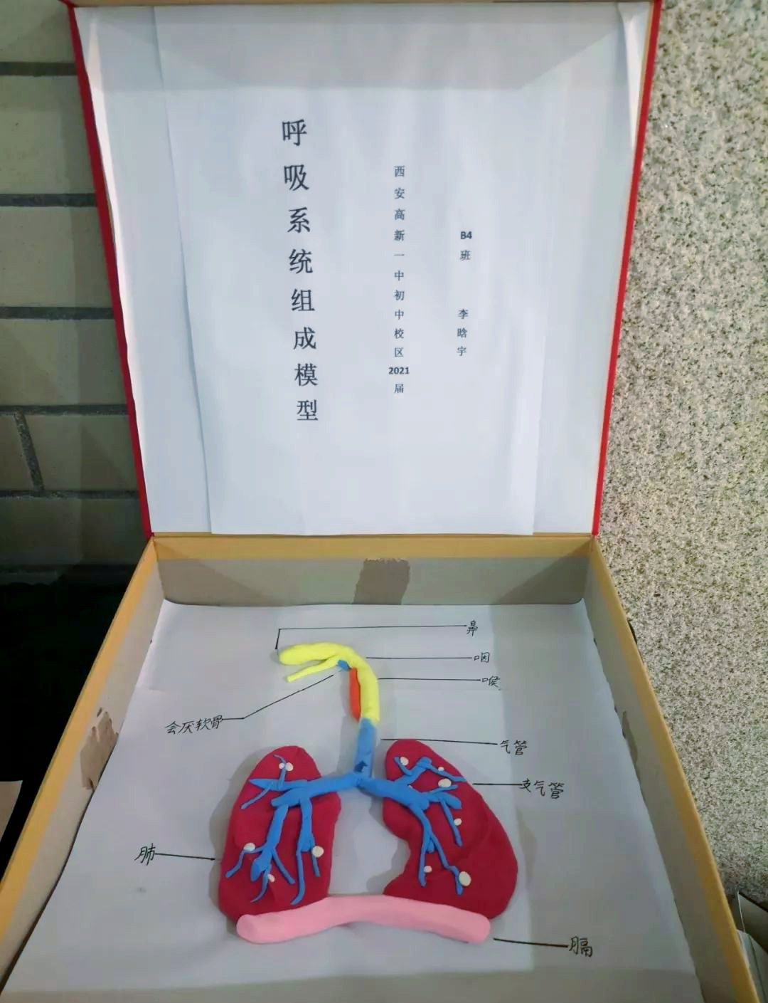 人体3d模型制作优秀作品展示