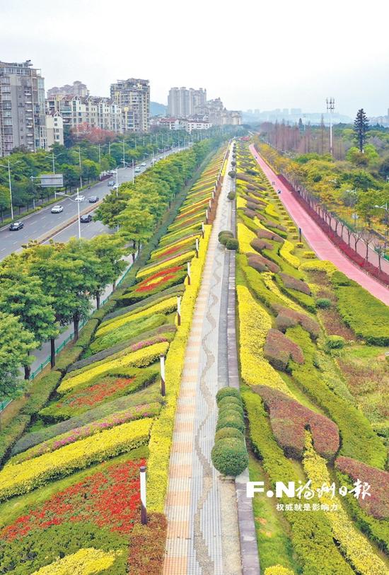 福州市园林中心:雕琢城市图景 刻画享绿之城