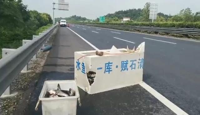 面包车当货车,整车鱼变烤鱼