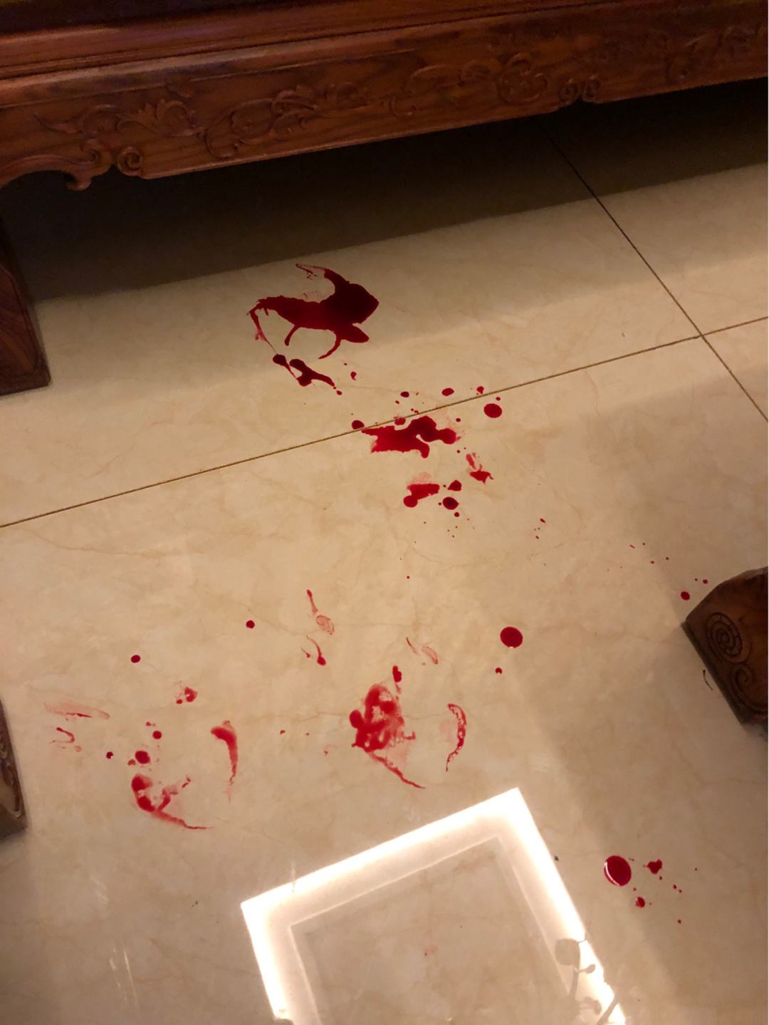 下楼买菜,发现狗嘴里全是血,睡在床上的儿子却不见了