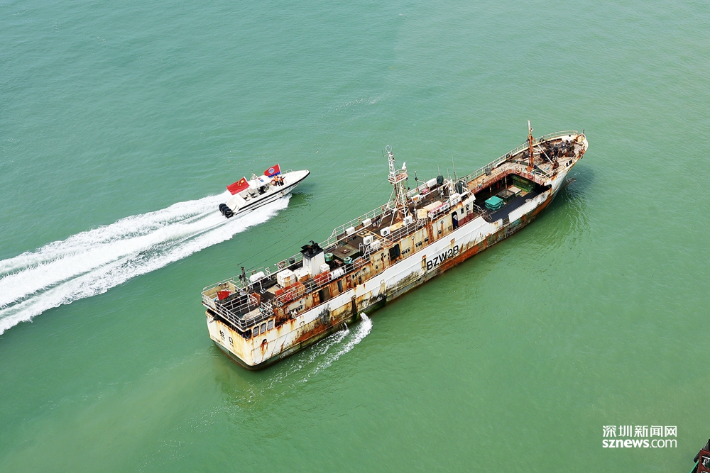 in视频|150吨!大铲湾码头迎来深圳今年首批远洋金枪鱼