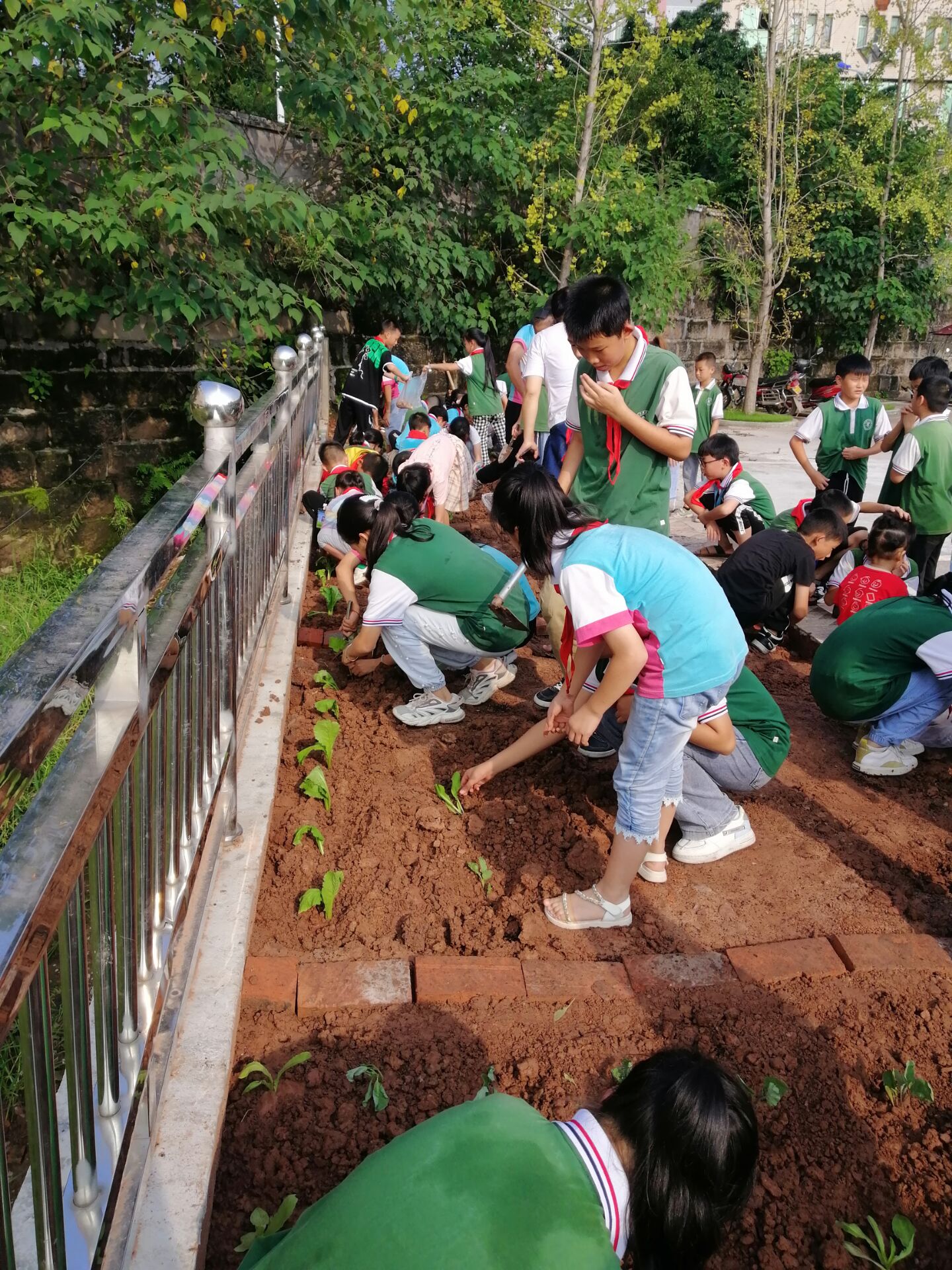 珍惜每粒米 节约我做起 大安区牛佛镇中心校开展"世界粮食日"系列活动