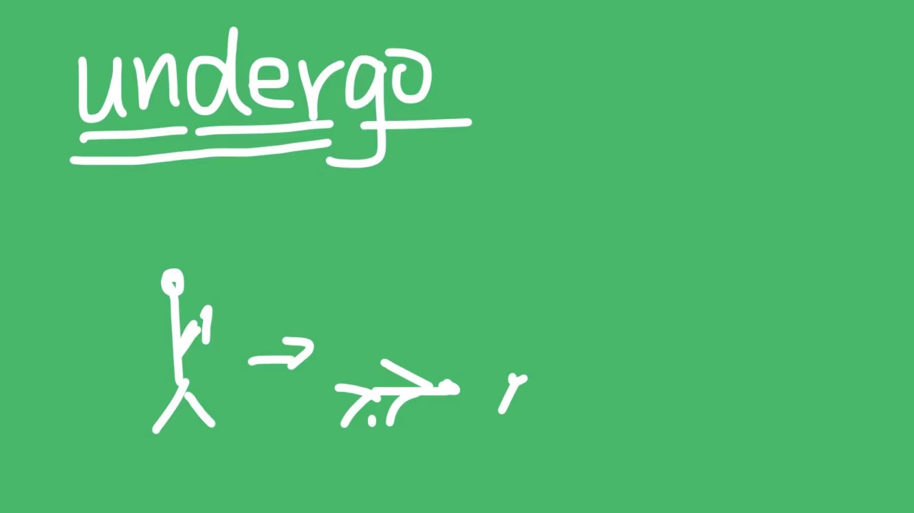 undergo是什么意思?