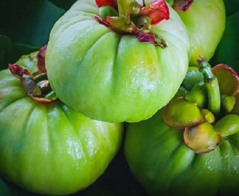 藤黄果:营养丰富的热带果实之选