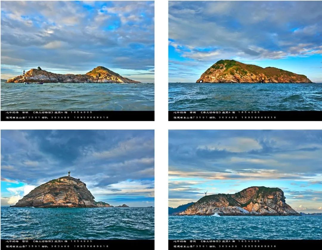 虎屿沾沾福气吧!