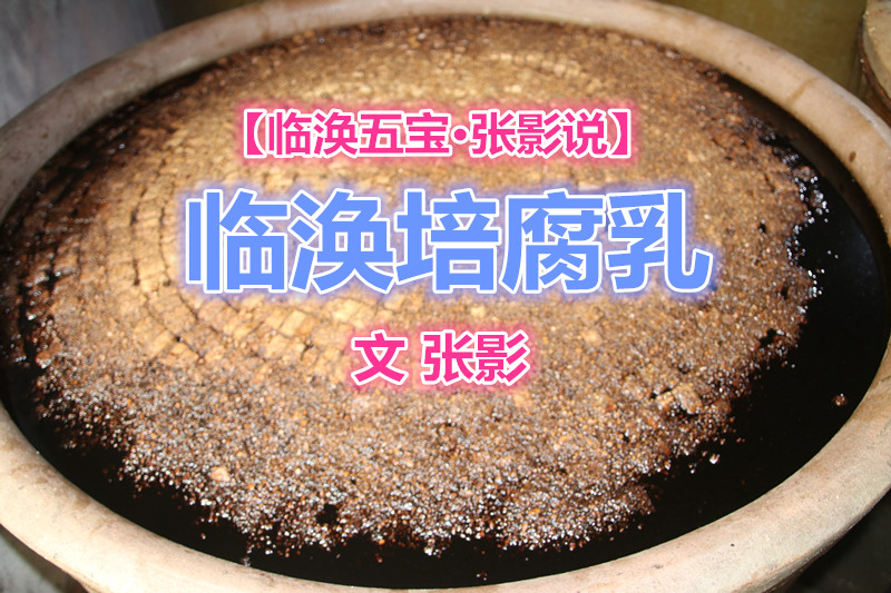 「临涣五宝·张影说」临涣培腐乳