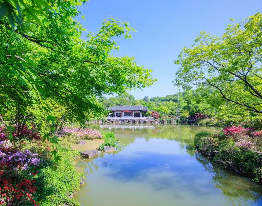 惠山古镇景区通告