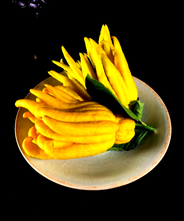 佛手:静享自然之美,品味生活奢华