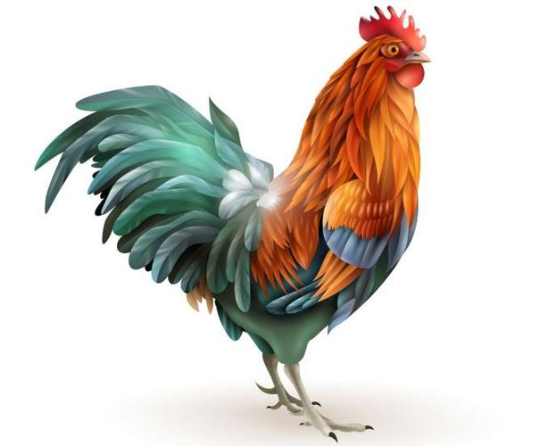 81年属鸡人何时走大运,2023年的全年运势