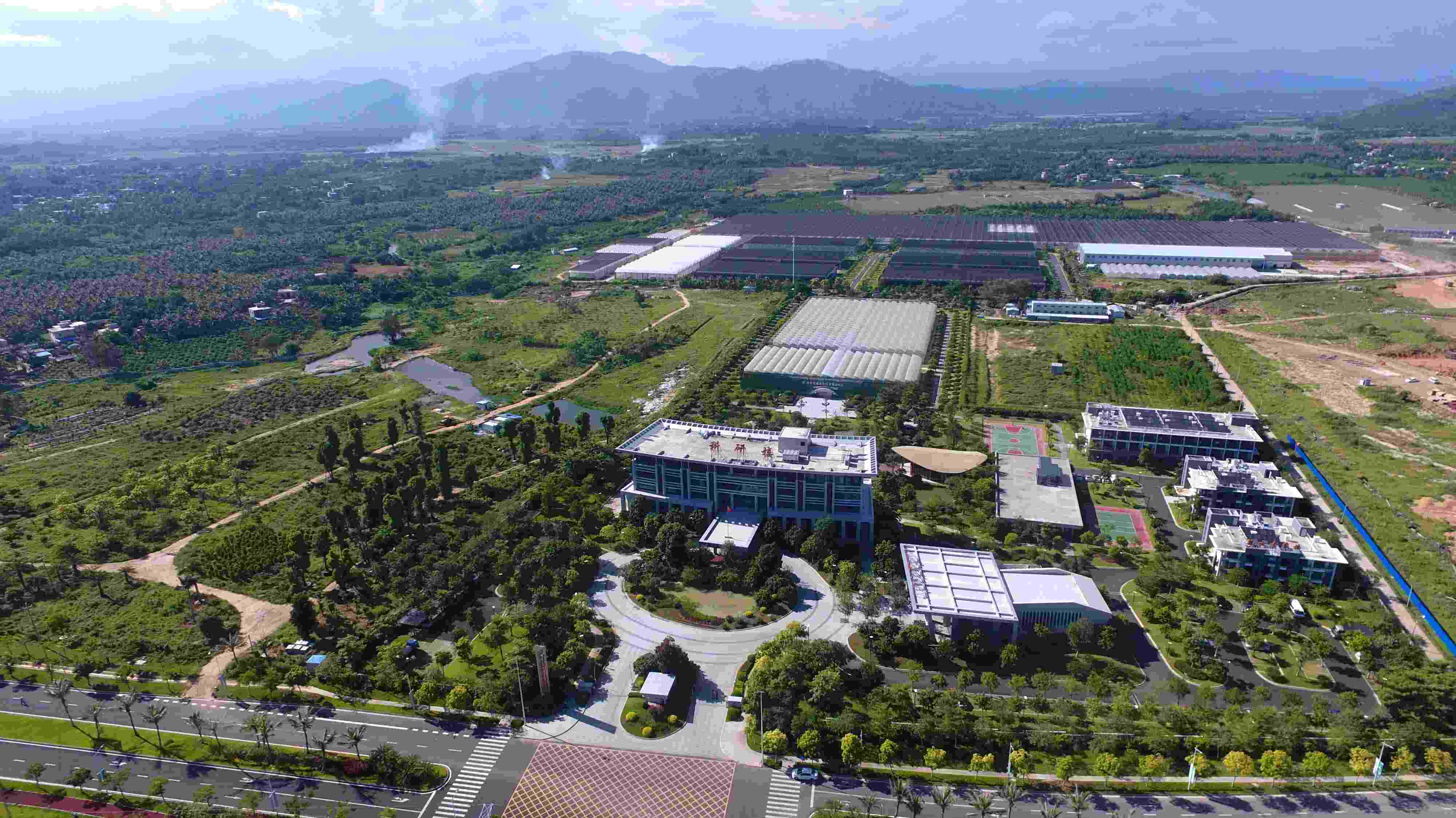 现代农业产业园的运营模式是什么?