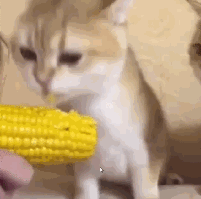 玉米这个"没用"的部位,你了解吗?