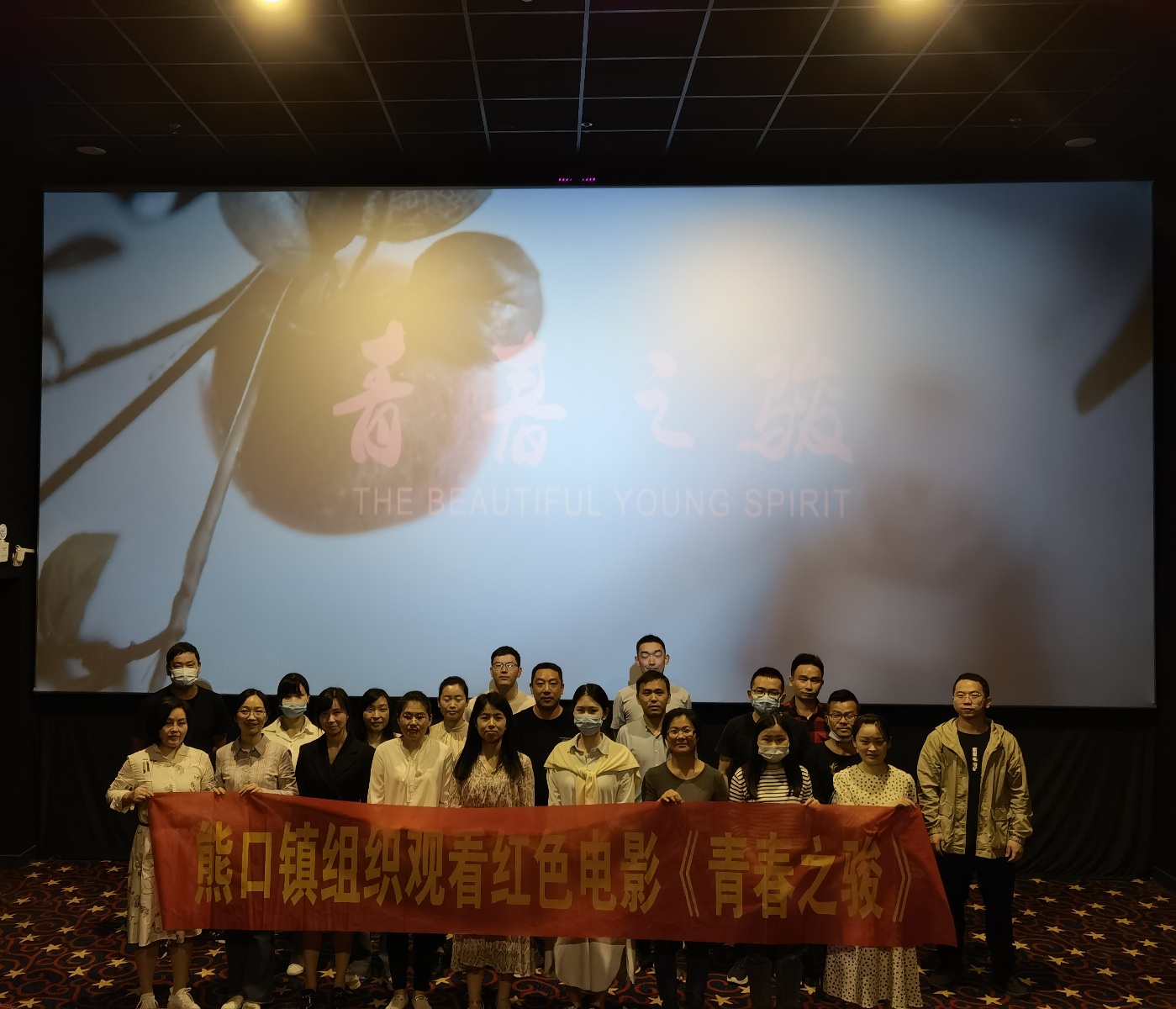 熊口镇组织观看红色电影《青春之骏》
