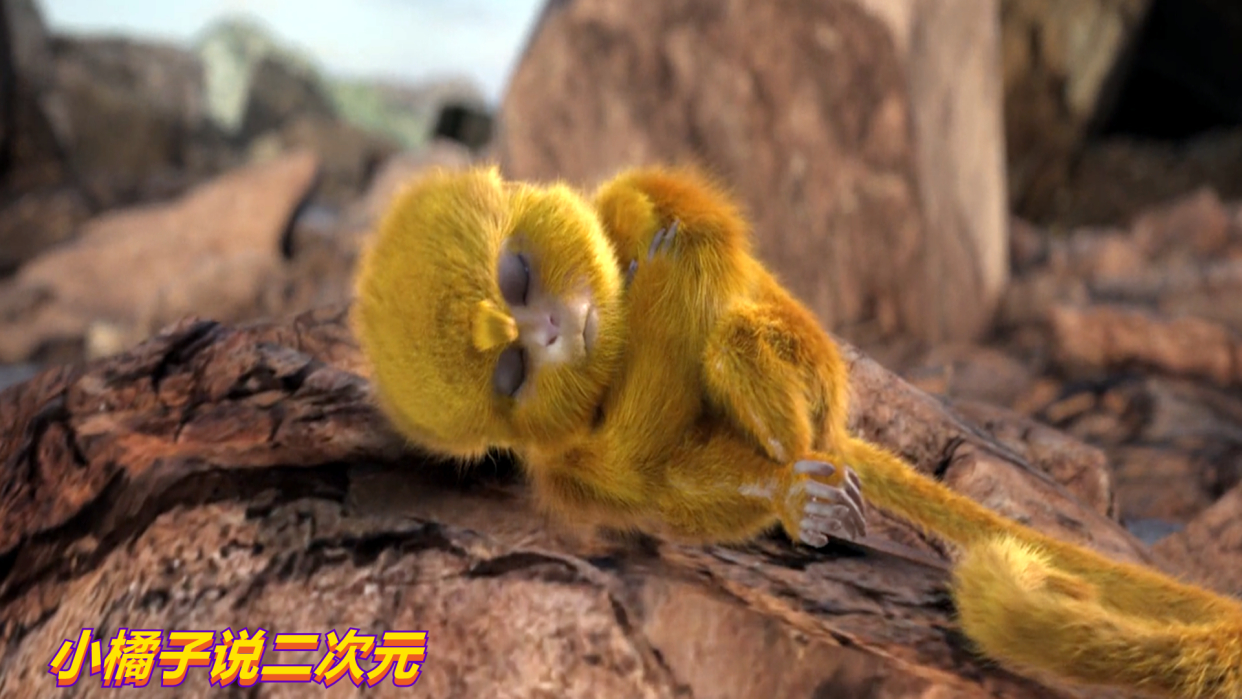 完美世界「朱厌」毛球的一生,有荒天帝石昊相伴,一切就足够了