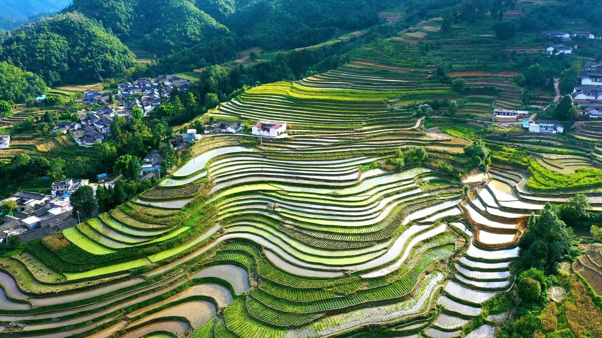 会理市小黑箐镇的乡村振兴图:碧水盈盈处"白色财富"藏