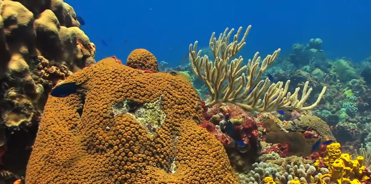 漫谈超出想象的深海世界