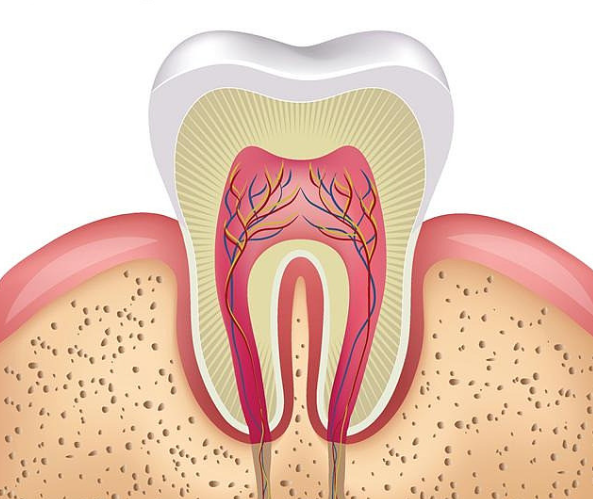 牙神经疼痛怎么缓解