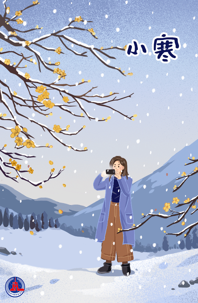 动图插画丨小寒时处二三九腊月梅花开