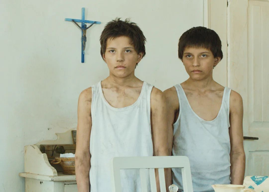 刷完《隐秘的角落》,建议你再读读《恶童日记》