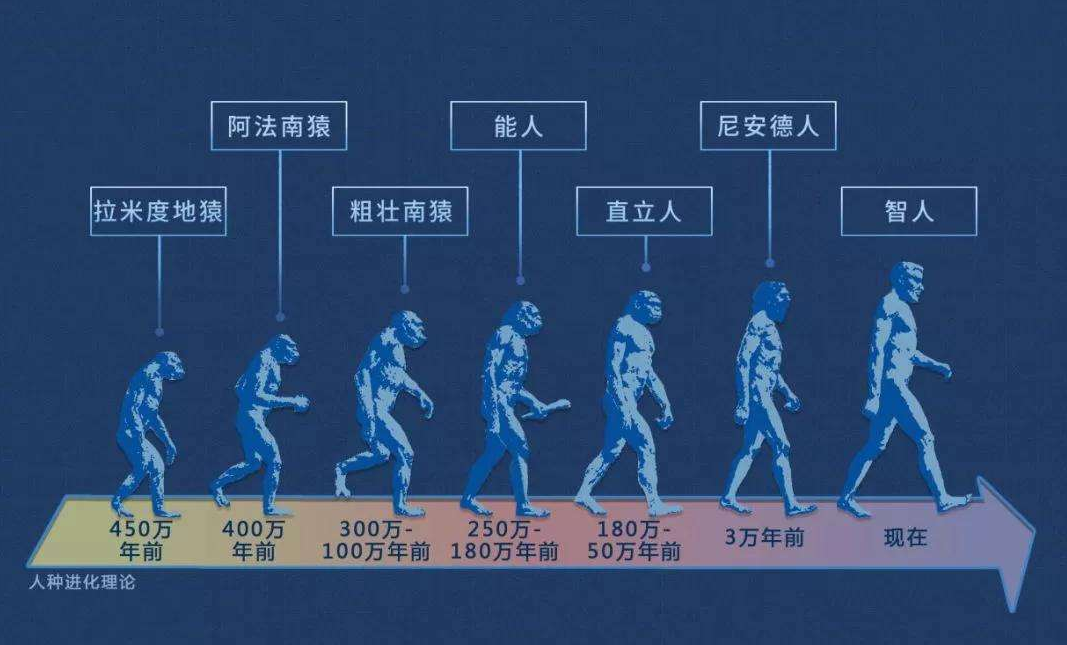 人类进化史 人类进化至今算完美吗?进化至今最没用的器官