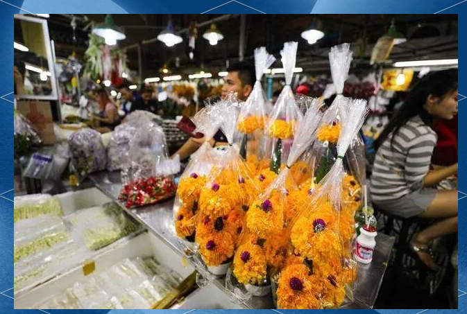 泰国派克隆花市:鲜花盛放的文化与经济之旅