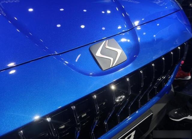 竖着闪电车标是什么车