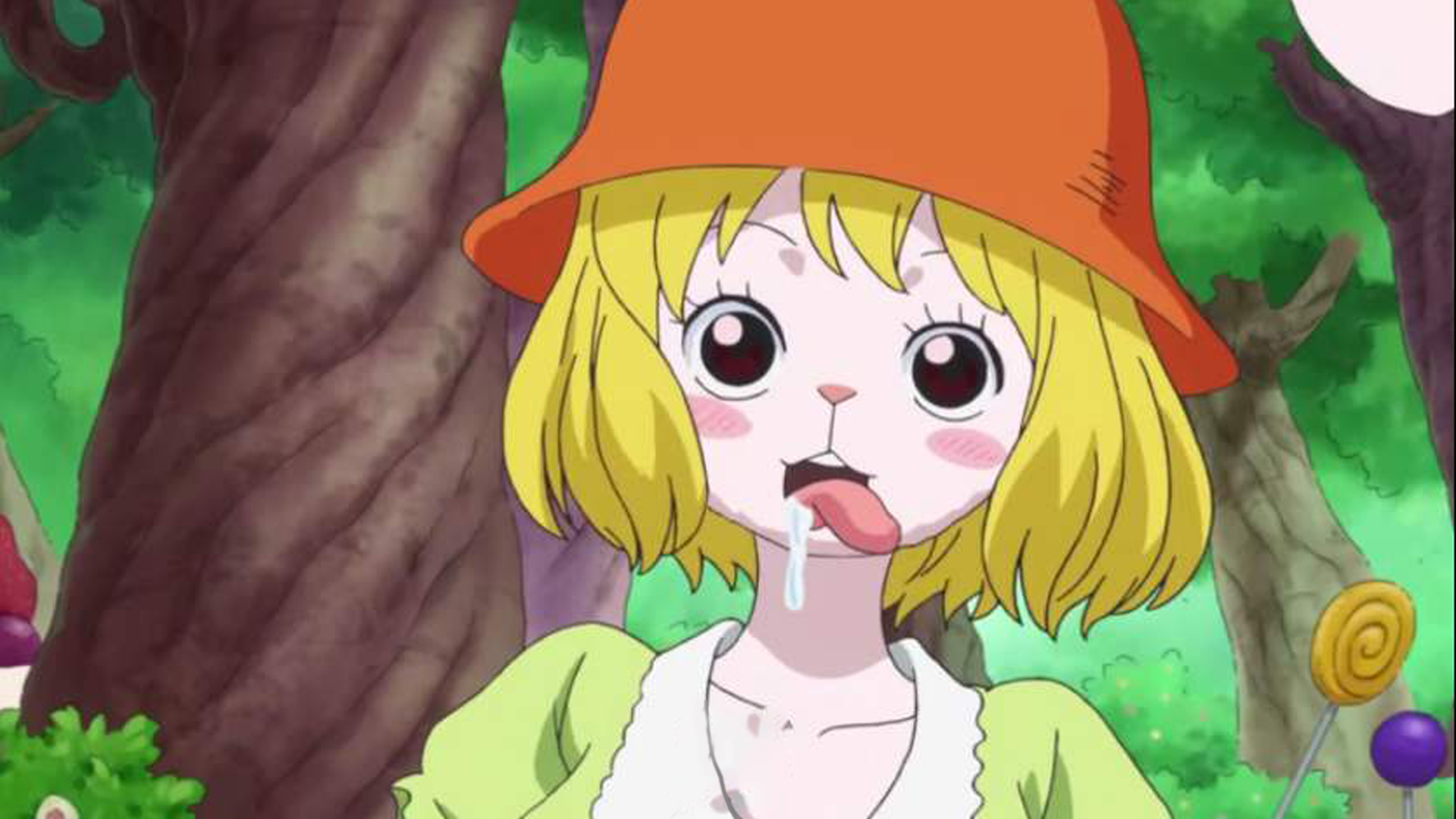 海贼王:草帽海贼团"第十人"是加洛特还是大和?还是她最为合适