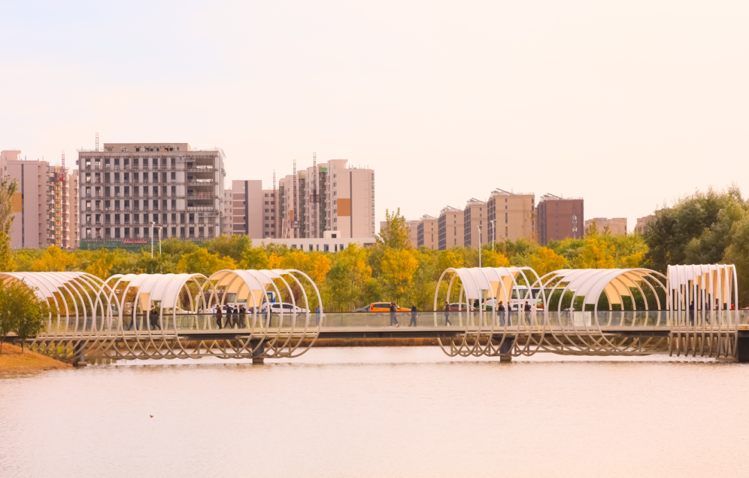 奥运健儿王妍拼搏永不放弃我为家乡后沙峪代言