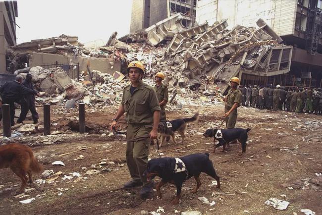1998年,美国大使馆发生爆炸惨案,死伤近5000人,本拉登一战成名
