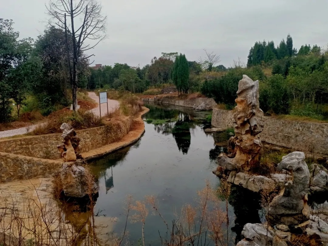 所有人,新田這家鄉村旅遊景點