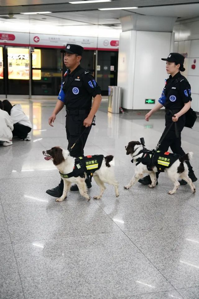 帅气!杭州地铁"新警"上岗!回头率超高
