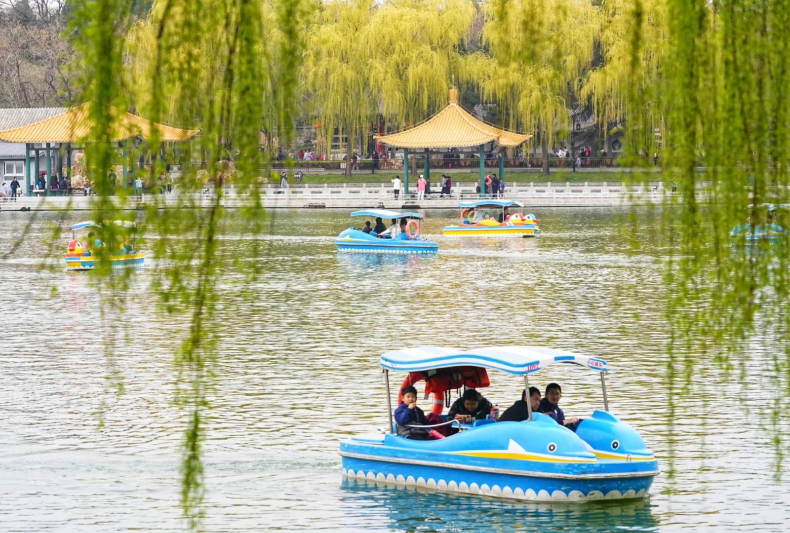 清明小长假最后一天,来市属公园赏春踏青