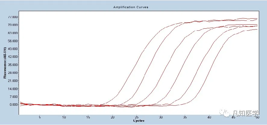 稳了!老司机手把手教你做rt-qpcr最美曲线:标准曲线如何来的?