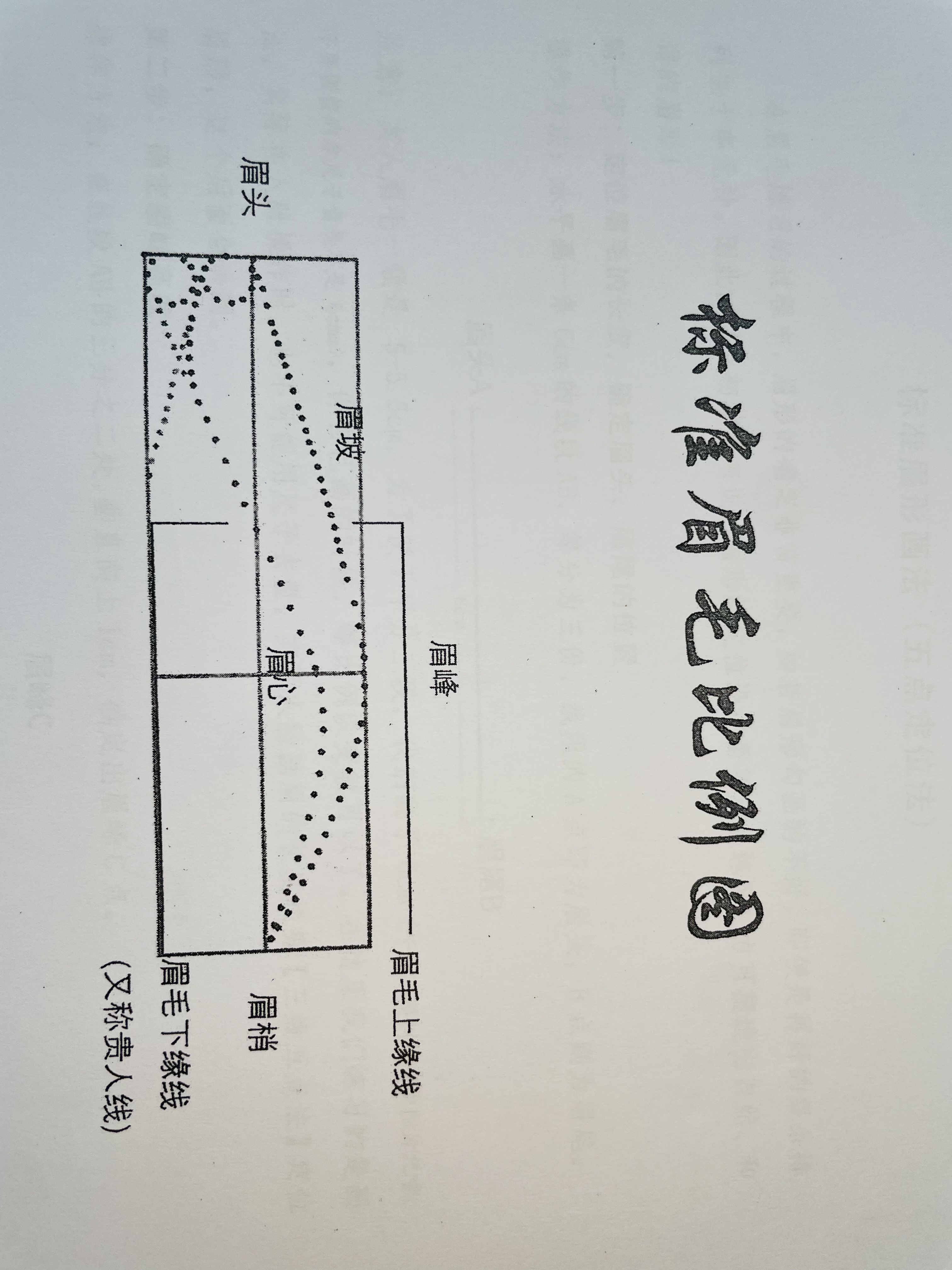 画眉鸟眉毛分解图图片