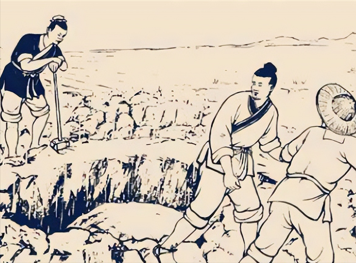 为什么古人挖井后放生龟?这有什么深意,古人真有智慧