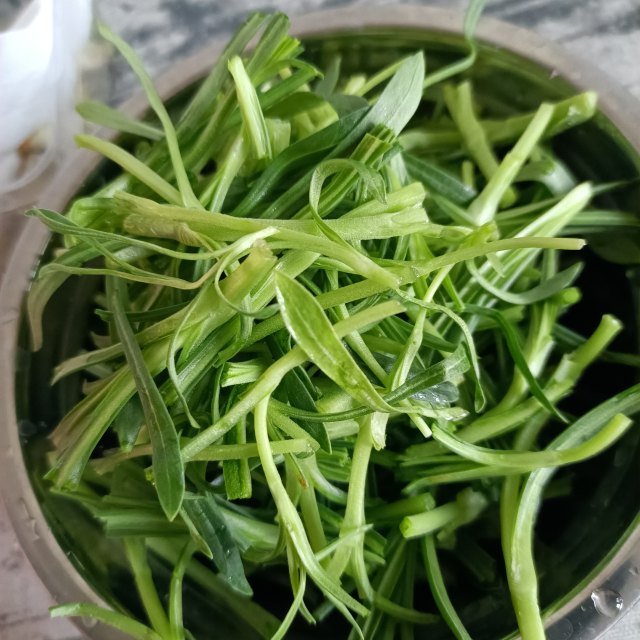 雞蛋幹炒麵條菜