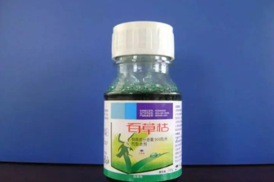 剧毒之物百草枯:给你充足的时间后悔,但是不给你活命的机会