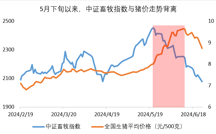 猪周期走势图图片