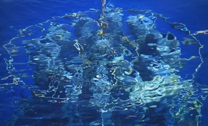 马尾藻海:世界之巅的海洋神秘之地