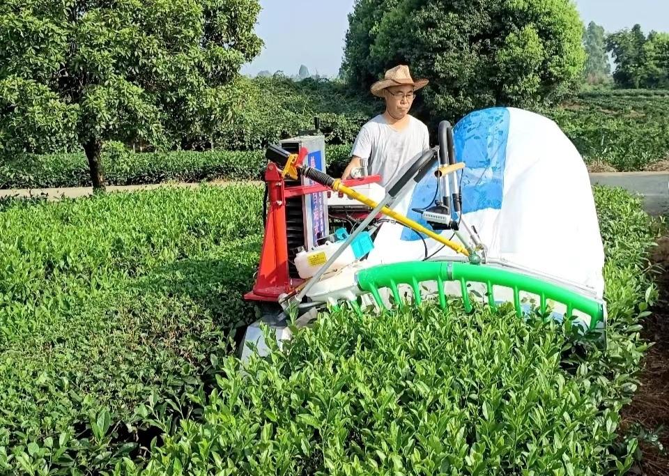 科技发布厅丨采茶效率提升6倍四川智能采茶机研发取得新突破