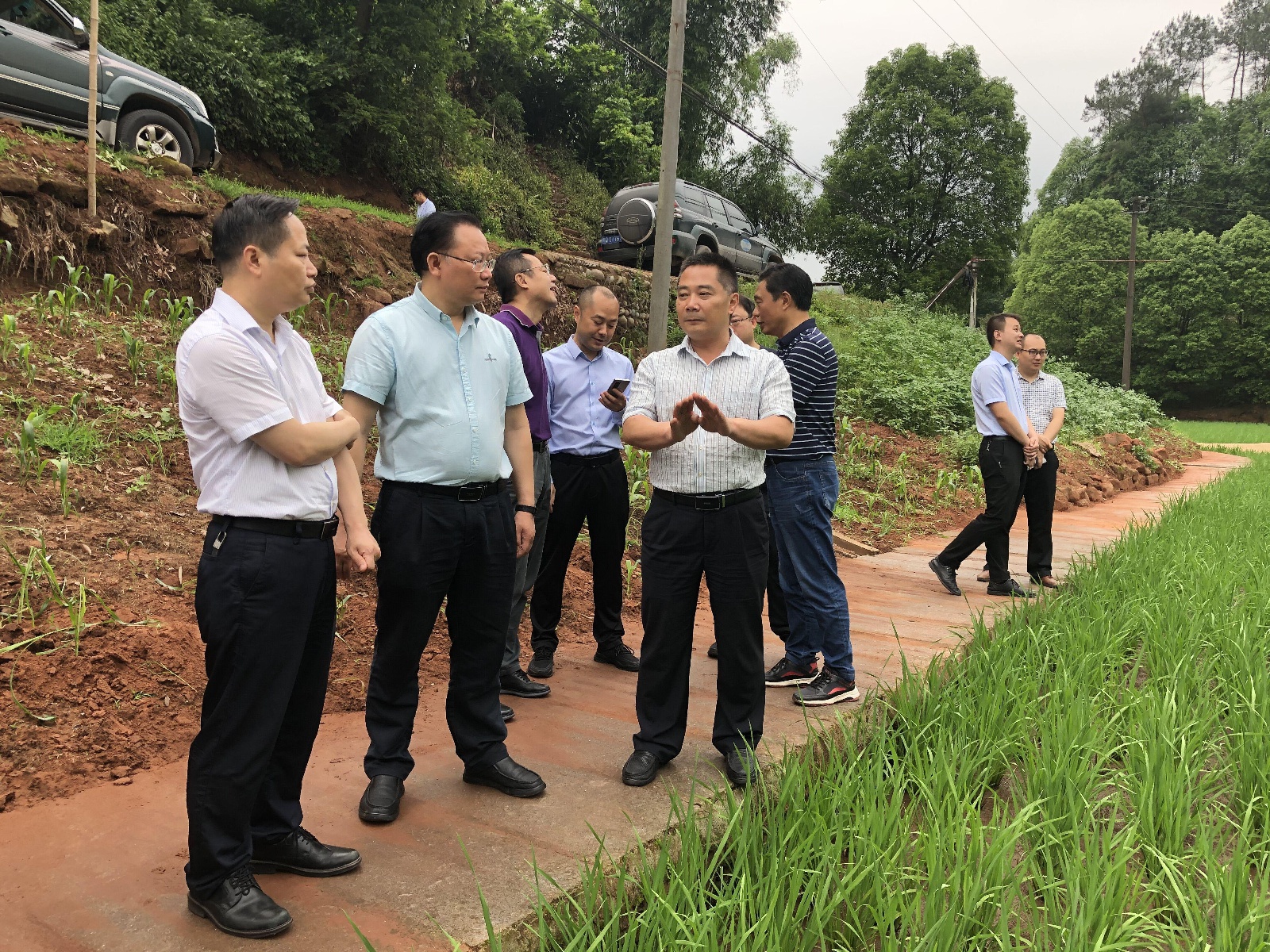 陶学周副市长调研叙州区粮食生产工作