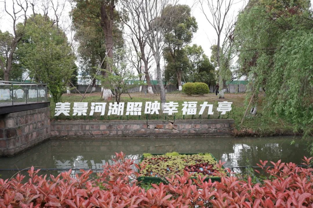 春日"沪"水游丨松江:胜日寻芳,一起来九科绿洲共赏春光!