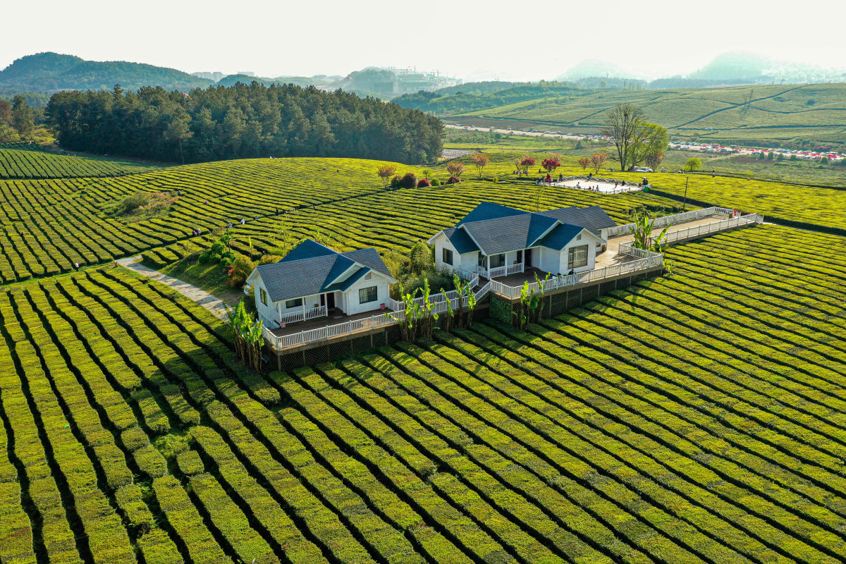 "老赵下午茶"名称的由来