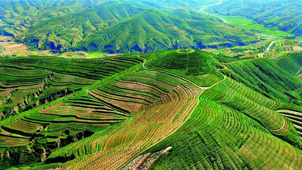 「绿水青山巡礼之一」会宁:"红嘴山"上擎起绿色梦想