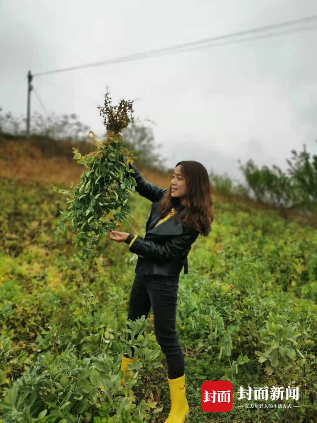 四川省脱贫攻坚先进个人黄燕:种菜拉近与村民间距离 了解民情才能更好