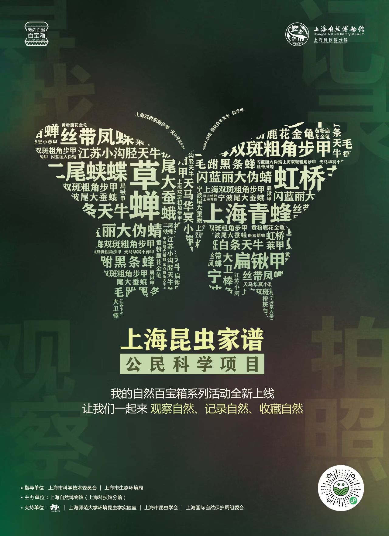 上海自然博物馆启动"上海昆虫家谱"公民科学项目,一起来为虫儿们编"