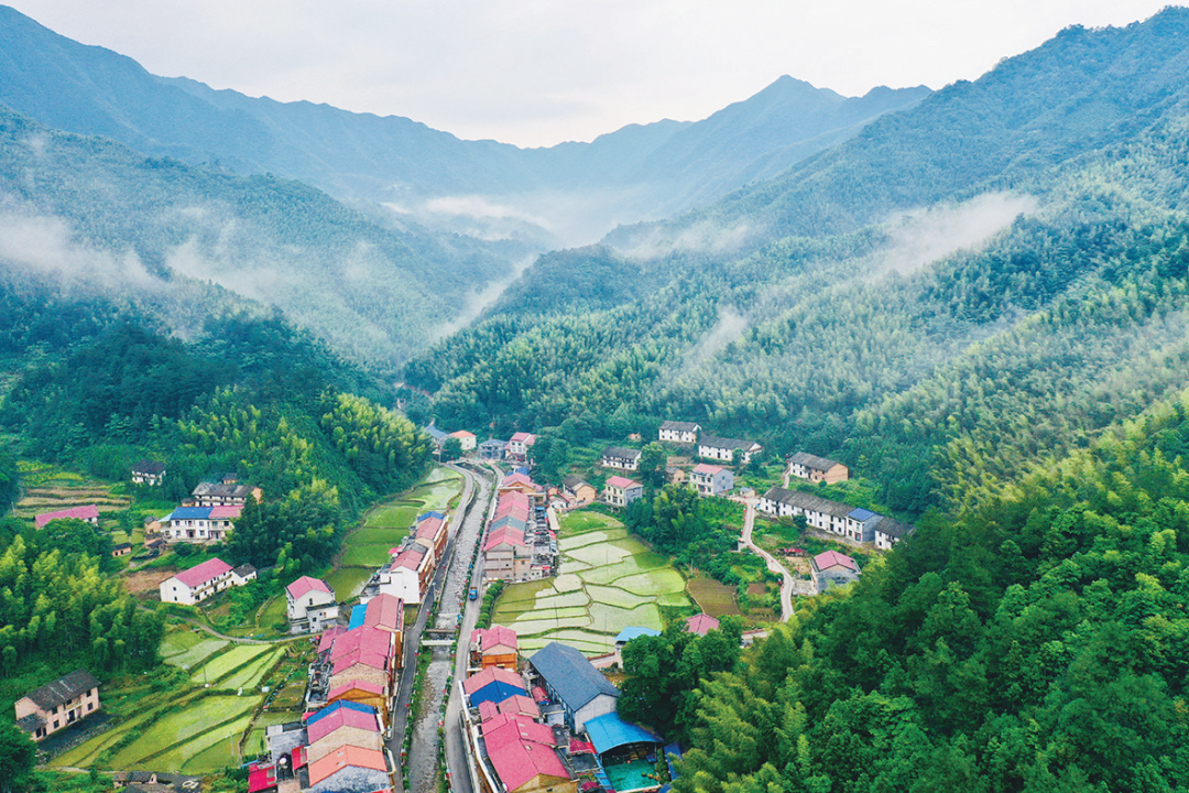 「株洲日报」发力村庄经营卧龙村打响"新算盘"